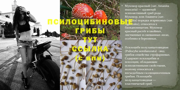 меф Алексеевка