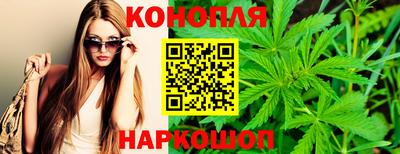 сатива Волжский