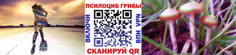 Галлюциногенные грибы GOLDEN TEACHER Сосновый Бор