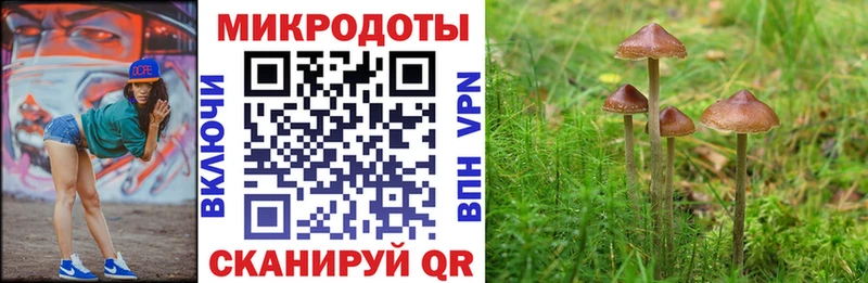 кракен зеркало  Сосновый Бор  Галлюциногенные грибы мухоморы 